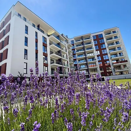 Azabia Luxury - Nest 2 *