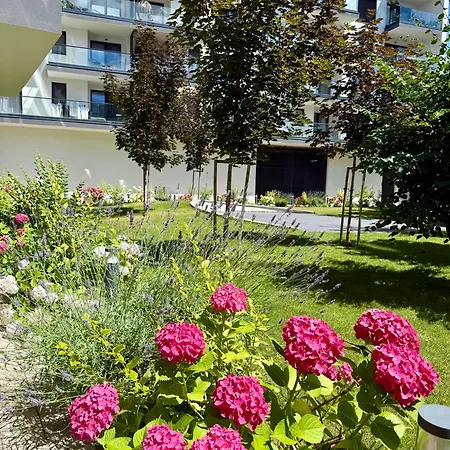 Azabia Luxury - Nest 2 * Cluj-Napoca